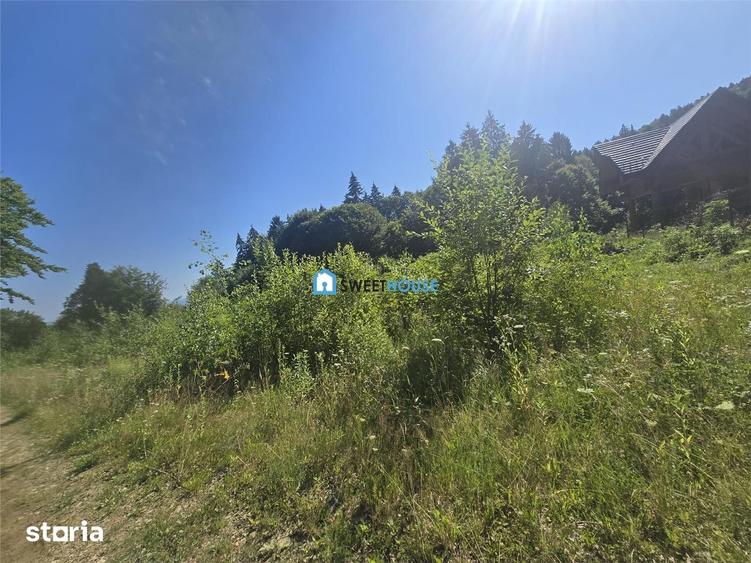 Teren de 3000 mp, în Drăguș