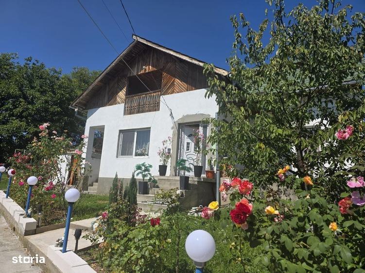 Casă cu 2 camere în Davidești