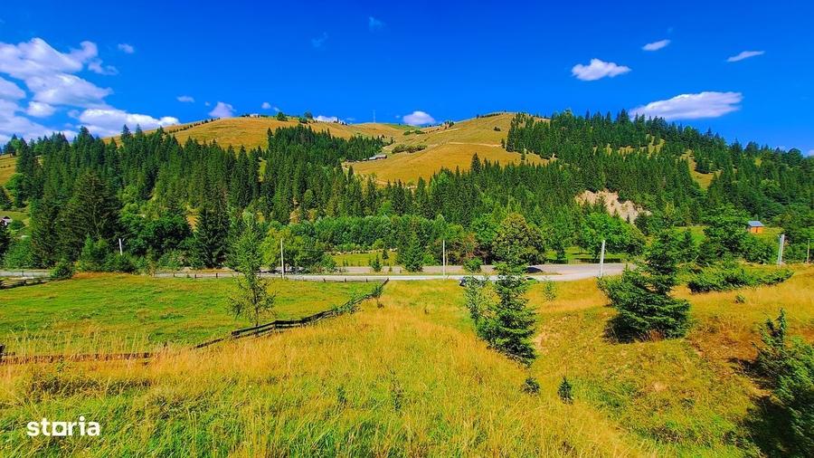 Teren de 2000 mp, în Paltin