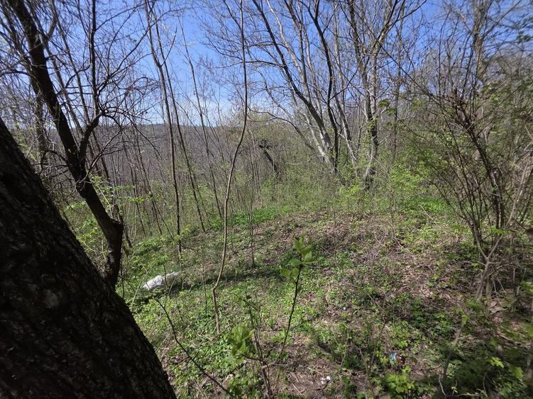 Teren agricol intravilan de 2070 mp, în Brebu