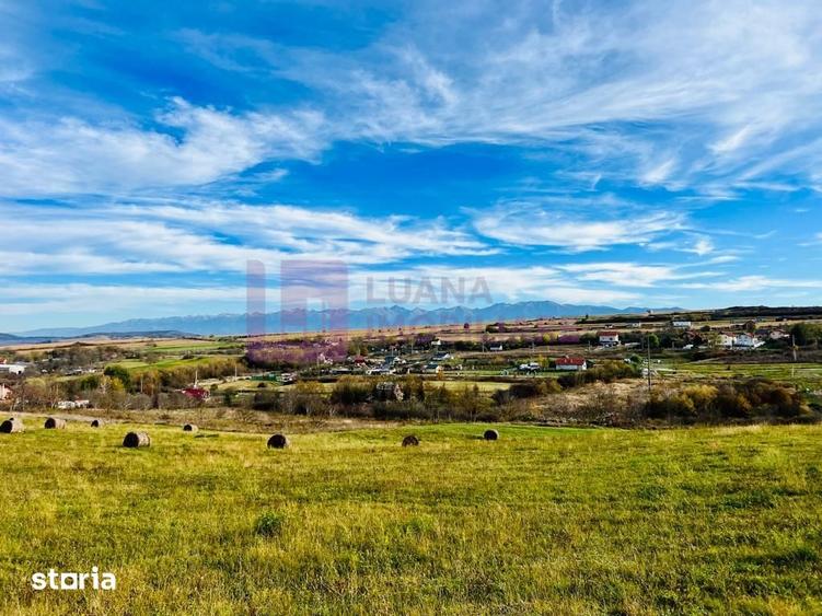 Teren de 1500 mp, în Roșia