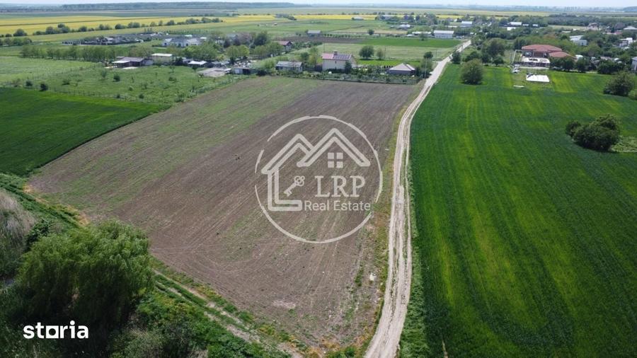 Teren de 10400 mp, în Dascălu