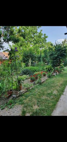 Garsonieră decomandată în Exterior Vest
