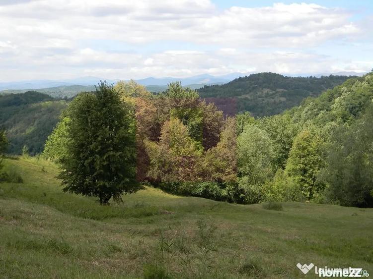 Teren de 3092 mp, în Telega