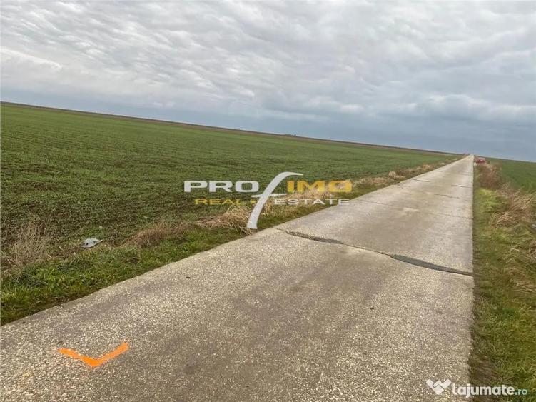 Plaja Corbu-Teren 4200mp. la numai 8 euro /mp. Soseaua asfal - 2
