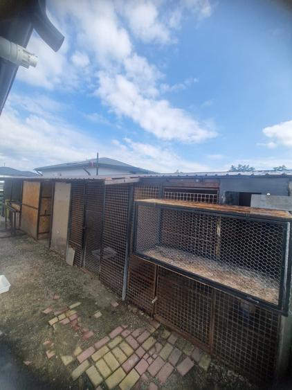 Casă cu 3 camere în Piscani