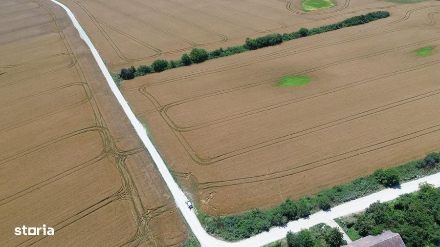 Ciolpani-Ilfov, Teren intravilan-20 ha - 3
