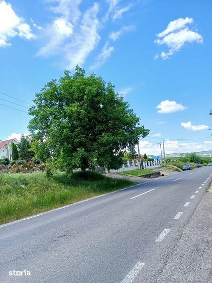 Teren de 4200 mp, în Târnăveni
