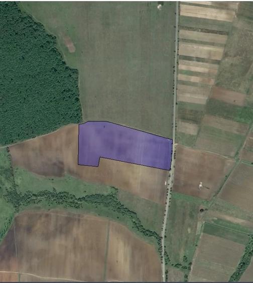 Teren de 40000 mp, în Mărtinești