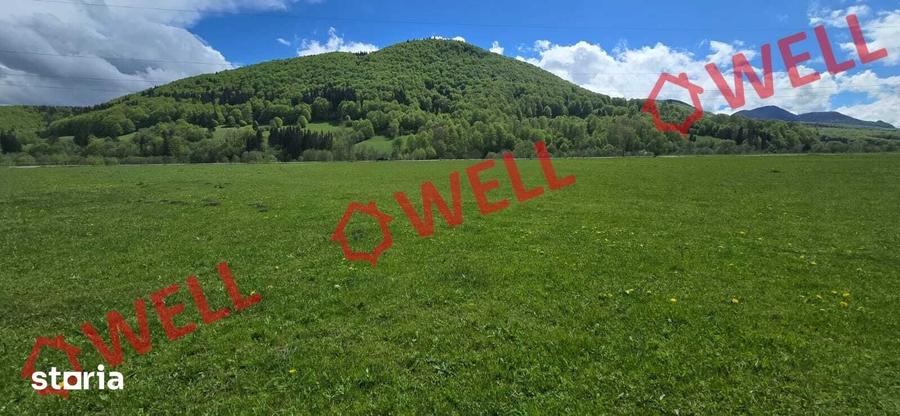 Teren de 5310 mp, în Vama Buzăului
