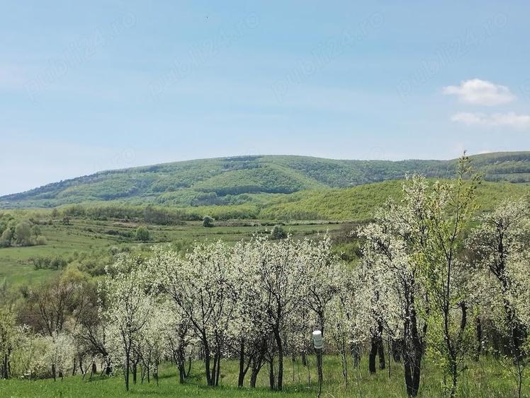 Teren de 1400 mp, în Gârbova