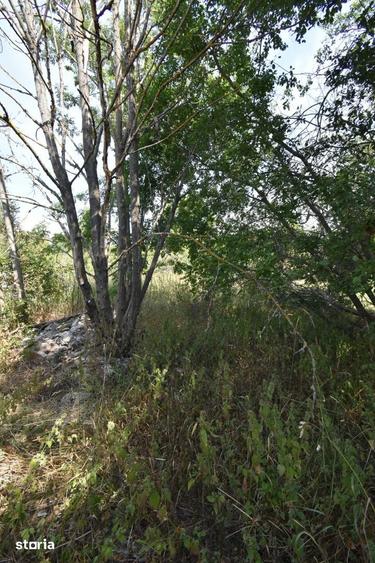 Casă cu 3 camere cu Teren 1500 Mp în Sava