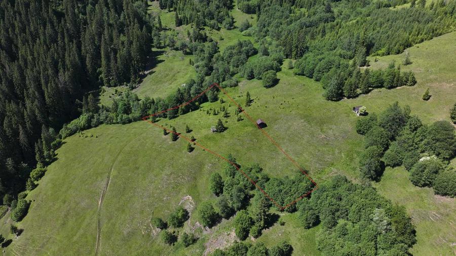 Teren extravilan 11.752 mp Zona Deia Priveliste superba Campulung Moldovenesc - 4