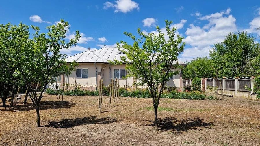 Casă cu Teren 1045 Mp în Ciorani