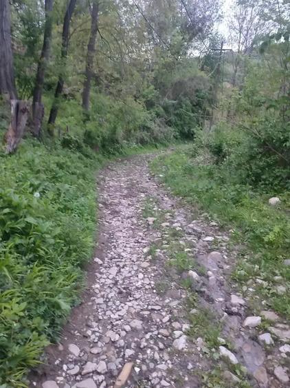Teren intravilan de 1241 mp, în Provița de Sus