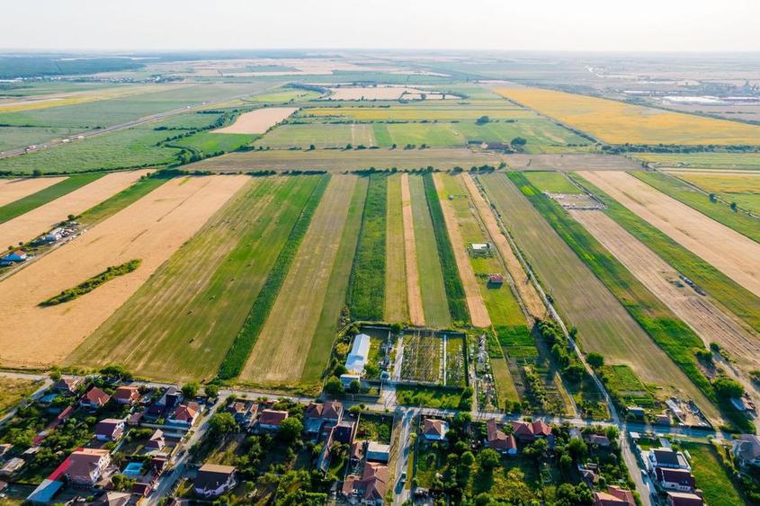 Teren de 10000 mp, în Bujac