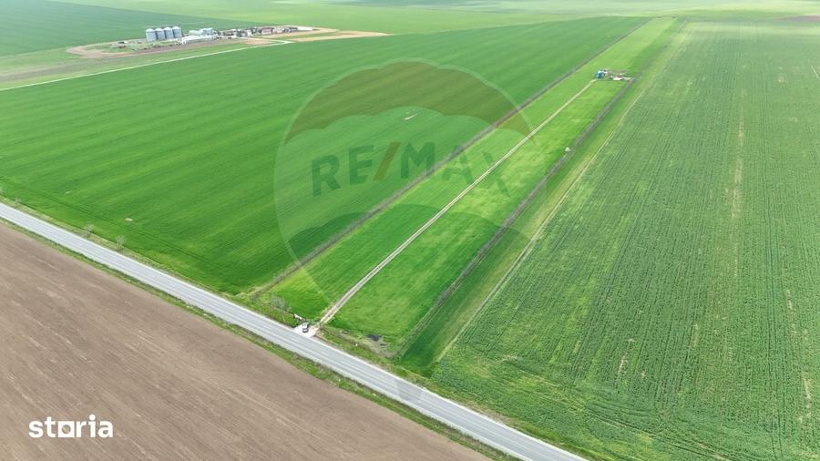 Teren de 60000 mp, în Săcele
