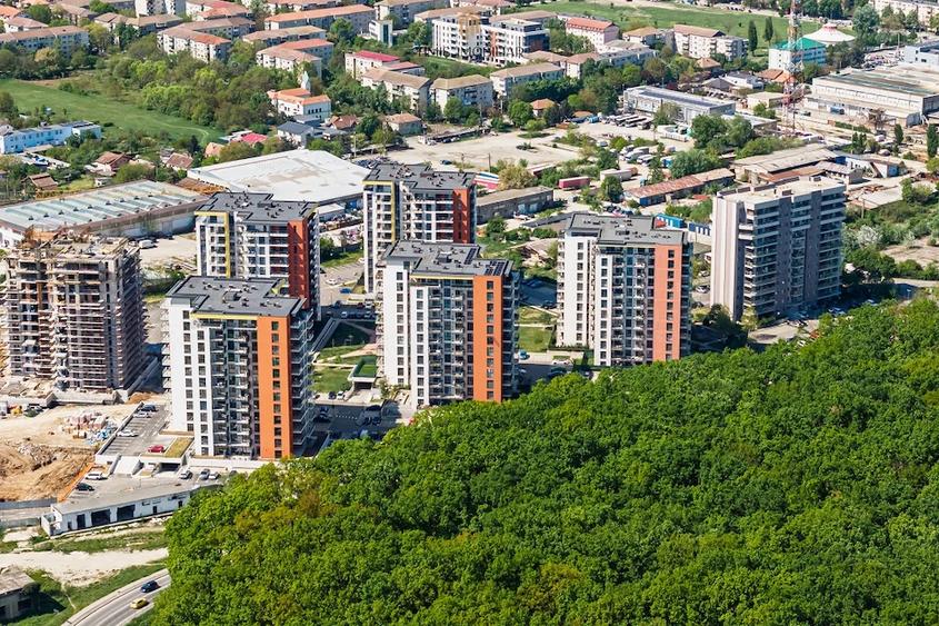 2 camere, vedere spre Padurea Verde | Adora Forest Pet Friendly - 17