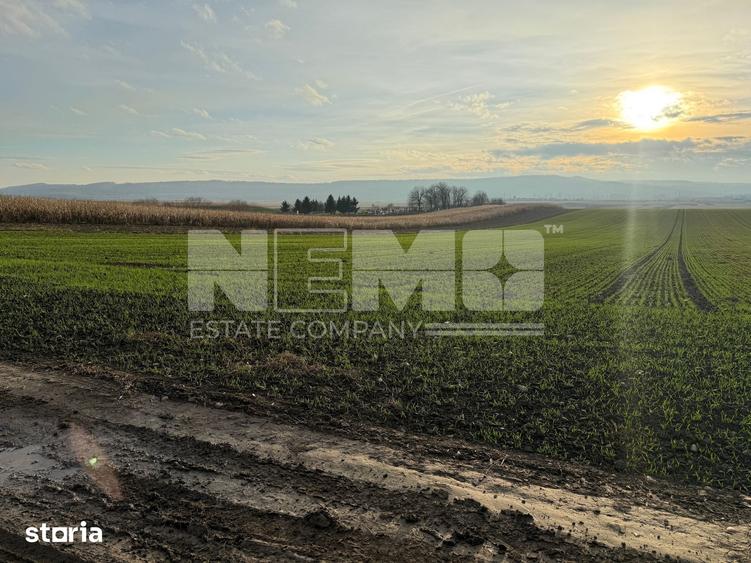 Teren de 1240 mp, în Cacica