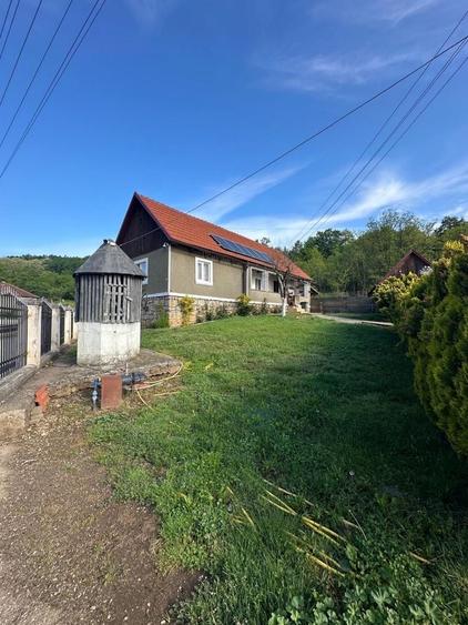 Casa la tara Tebea Hunedoara - 7