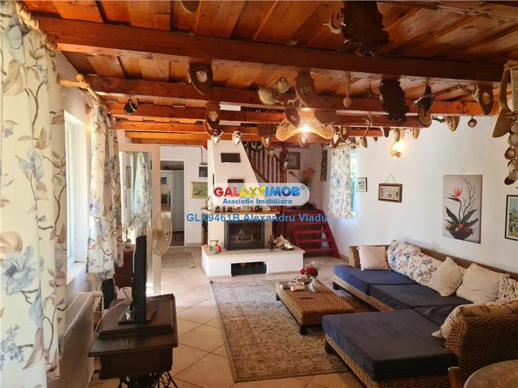 Casă cu 5 camere cu Teren 2400 Mp în Sărulești