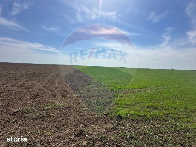 Teren 138.104 mp Dragomiresti-Vale, Ilfov, langa A0 - 1