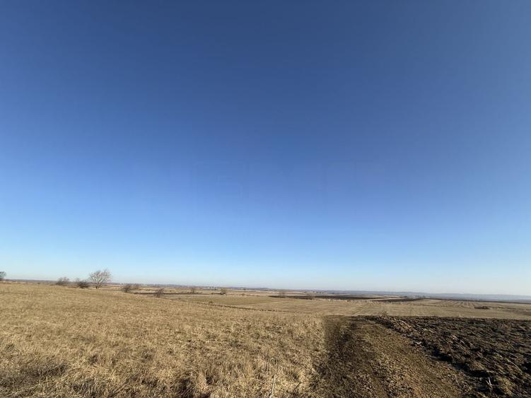 Teren agricol extravilan de 2300 mp, în Est