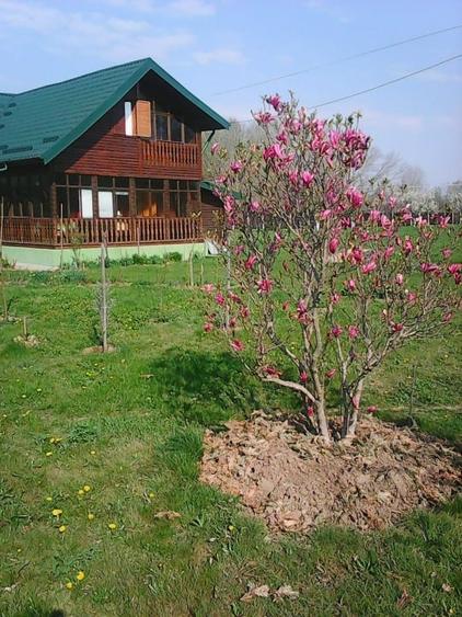 Casă individuală cu 5 camere cu Teren 6000 Mp în Urlueni
