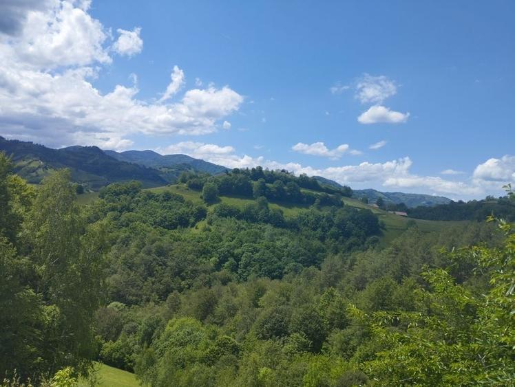 Spațiu comercial, în Poiana Mărului