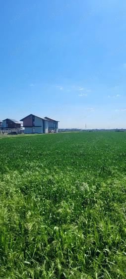 Teren de 5000 mp, în Dragomirești-Deal