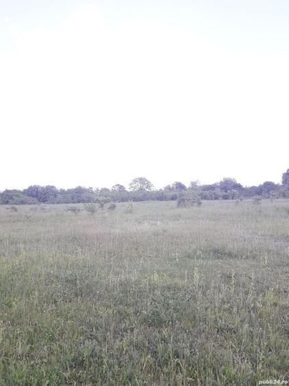 Teren de 2557 mp, în Iazu