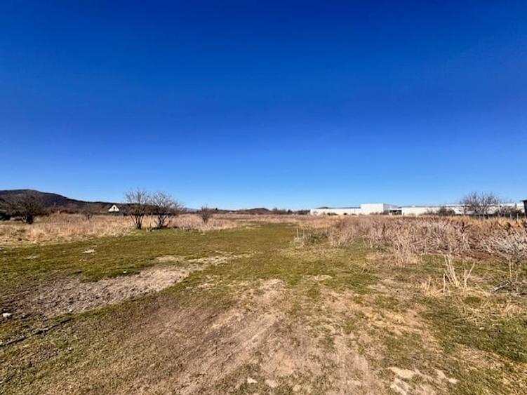 Teren Construcții intravilan de 720 mp, în Hărman