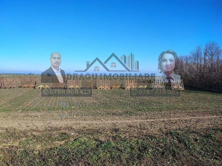 Teren agricol extravilan de 5000 mp, în Nord