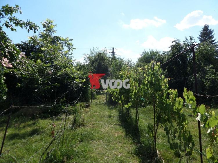 Teren Construcții intravilan de 2810 mp, în Fratelia