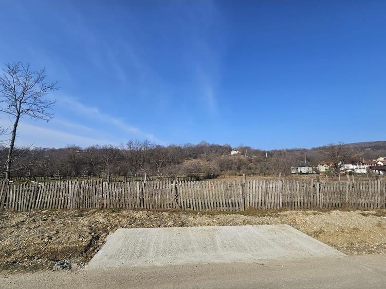 Teren Construcții intravilan de 2500 mp, în Berevoești