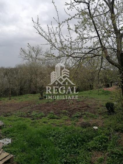 Casă individuală cu 2 camere cu Canalizare în Cerișor