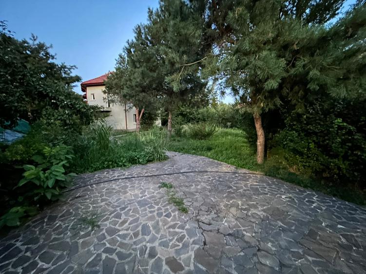 Inchiriere vila Pipera - 19