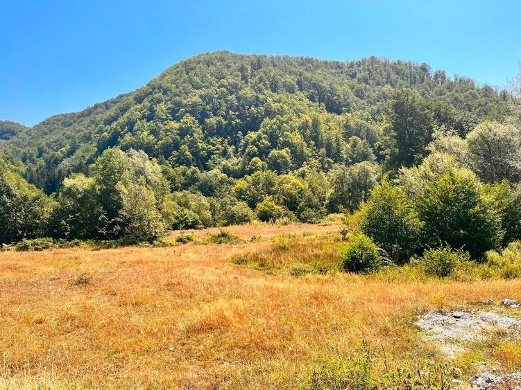 Teren de 5014 mp, în Călugăreni