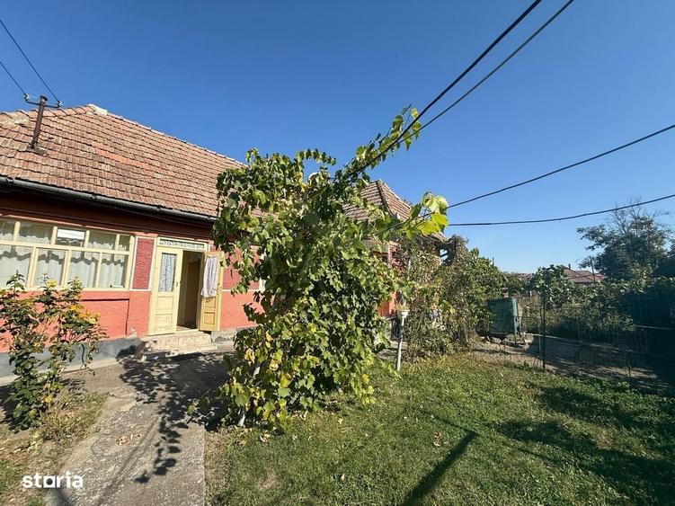 Casă cu 3 camere în Central