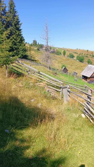 Vand teren intravilan - 1