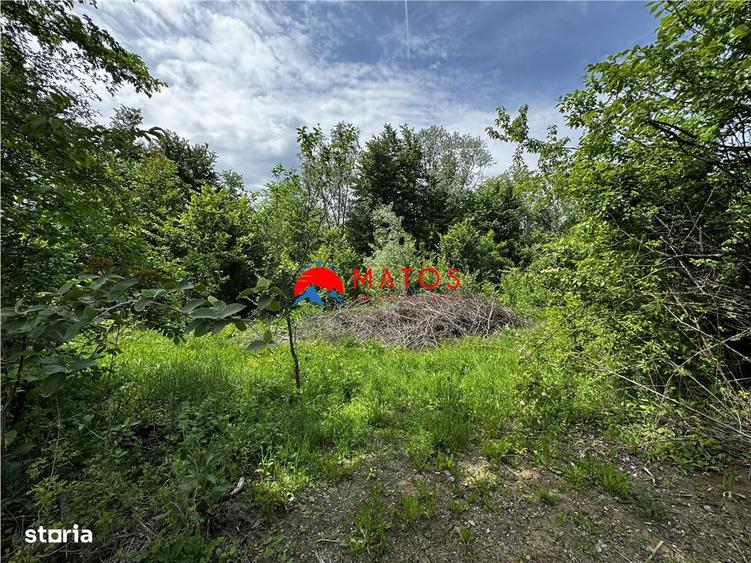 Teren intravilan 1.300 mp in Cornu de Jos, Prahova zona linistita, u - 1
