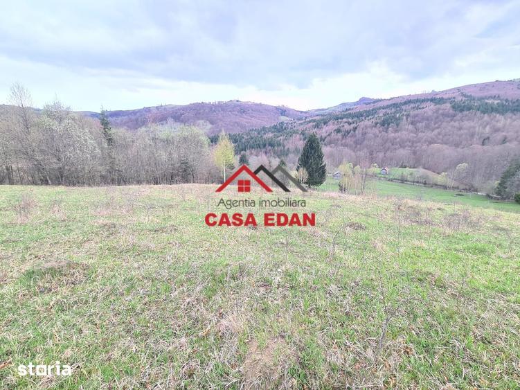 Teren de 20500 mp, în Valea Doftanei