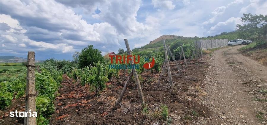 Teren de 1400 mp, în Ighiu