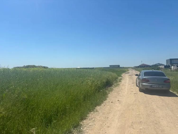 Teren agricol intravilan de 500 mp, în Berceni