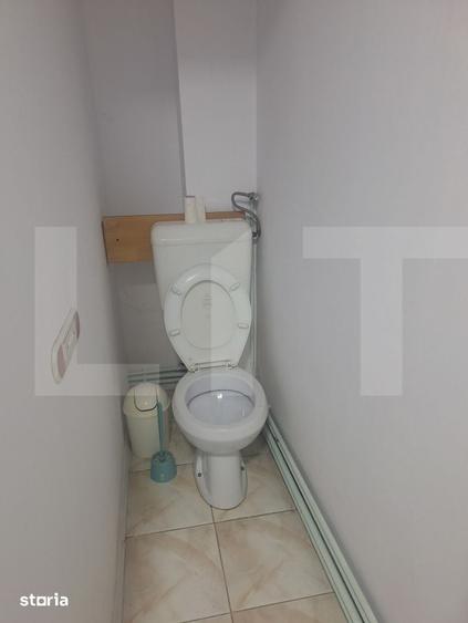Penthouse, 110 mp, zona Lugoj - 1