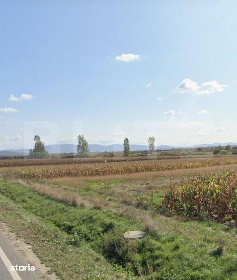 Teren de 6700 mp, în Pericei