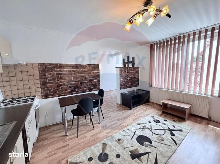 Apartament spatios-3 camere-la curte in Turnisor - 2