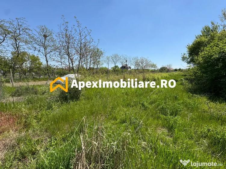 Teren intravilan de vanzare Cornetu IF | ApexImobiliare.ro - 6