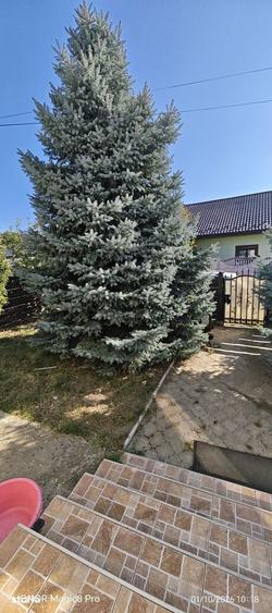Casă cu 3 camere decomandat cu Teren 500 Mp în Holboca