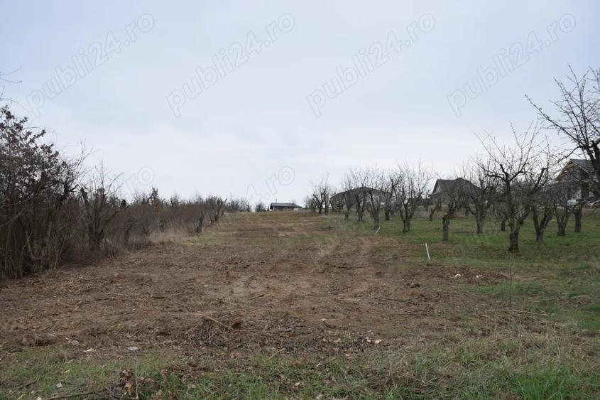 Teren de 2600 mp, în Paleu
